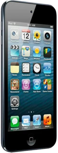 Восстановление после попадания влаги Apple ipod touch 5g